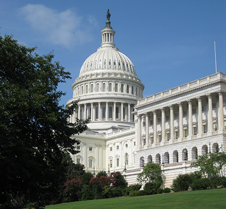 Advocacy-Washington, DC Capitol building