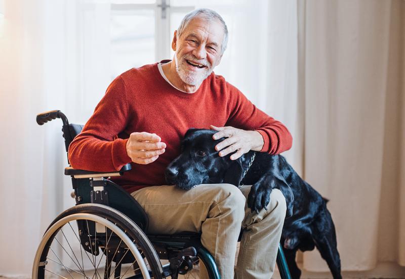 Caring for Your Older Loved One’s Pet